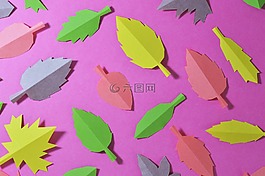 叶,秋,性质