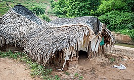 部落,小屋,印度