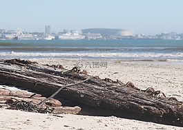 開普敦,殘骸,海
