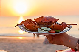 海,蟹,動(dòng)物