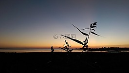 溶膠,晚上,日落
