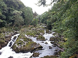 河,水,苔