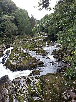 河,水,苔