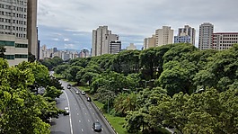 城市,圣保羅,綠色