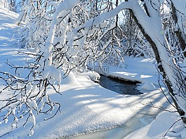 冬季,弗羅斯特,雪