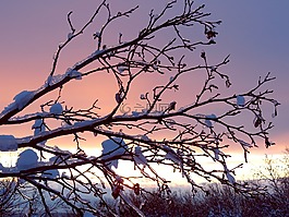 冬季,弗羅斯特,雪