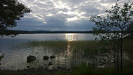湖,夏天,水