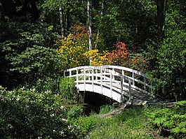 水,橋,池塘
