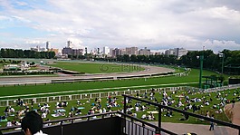 馬場,賽馬,馬