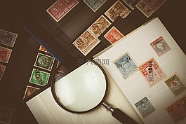 集郵家,收集的郵票,郵票