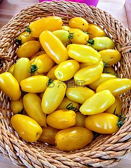 蕃茄,黃色,籃