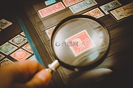 集郵家,收集的郵票,郵票