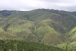 私營部門籌資和伙伴關系司,景觀,植樹造林