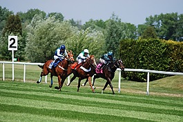 競賽,馬,馬場