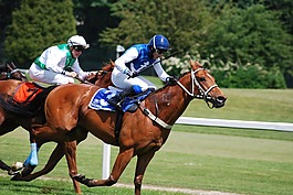 競賽,馬,馬場