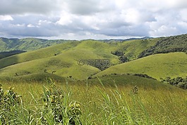私營部門籌資和伙伴關系司,景觀,植樹造林