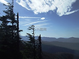 森林,性質(zhì),秋季