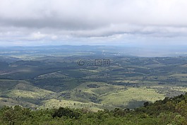 私營部門籌資和伙伴關系司,景觀,植樹造林