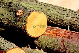 木,吠,像