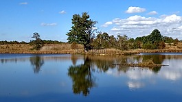 水,池,湖