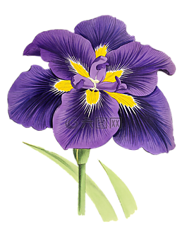 百合,花,廠
