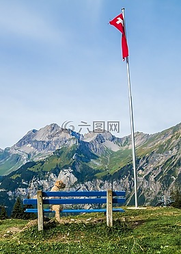 查看,山,銀行