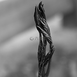 廠,手,協(xié)會