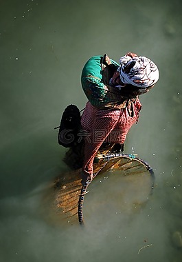 捕魚(yú),婦女,尼泊爾
