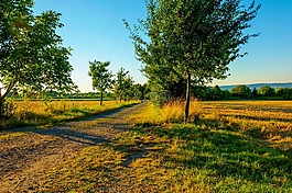 夏日的傍晚,景觀,abendstimmung