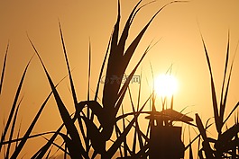 天空,土耳其,日落