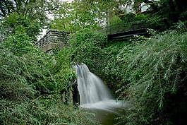 水,河,瀑布