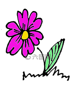 花,花卉,性質