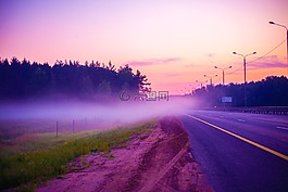 霧,路,花園