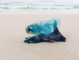 海洋,海,海灘