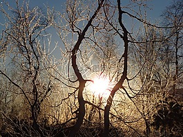 冬季,弗羅斯特,雪