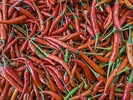辣椒,胡椒,紅色