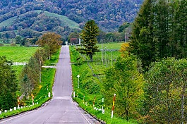 北海道,路,瀝青