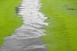 運(yùn)河,水,泡沫