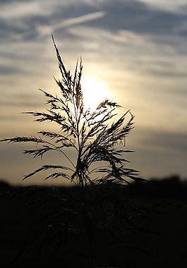 abendstimmung,太陽(yáng),天空