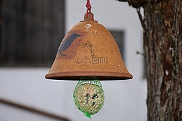 鳥種子,鳥類,食品