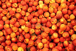 蘋果,紅色,紅蘋果