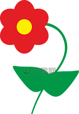 花,花卉,kwiatusze