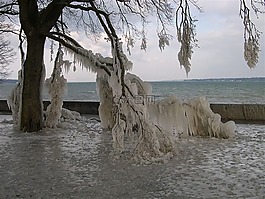 冷,雪,冬天