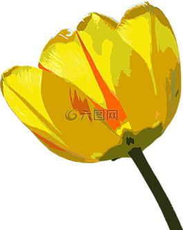花,花卉,kwiatusze