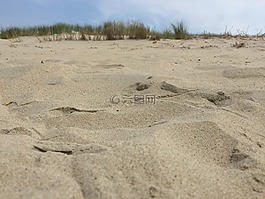 海灘,沙,沙丘