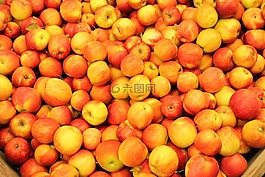 蘋果,紅色,紅蘋果