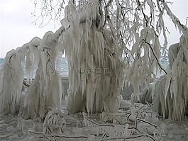 冷,雪,冬天