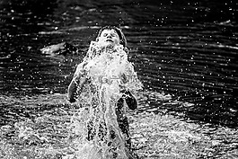 水,海,男孩