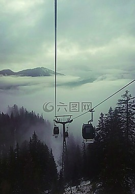 山,阿爾卑斯山,森林