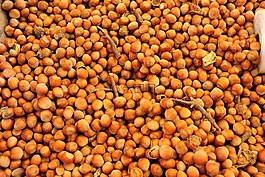 堅果,棕色,食品